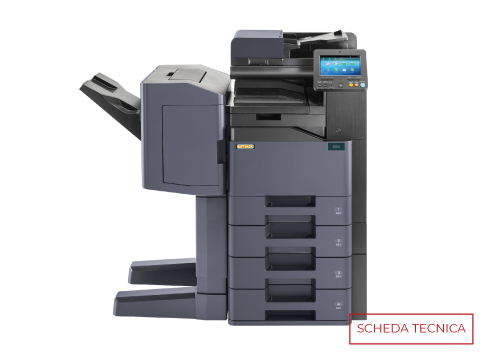 Lorem ipsum dolor sit